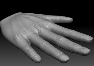 Model of My Hand