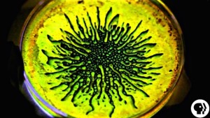 ferrofluid with glowstick