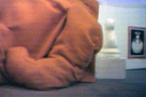 appendage