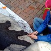 Phil sewing