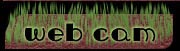 Web Cam